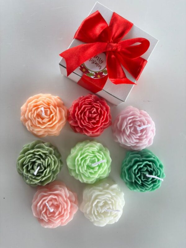 27a8dc14-b996-480d-b89b-cfa90e2d2d1e