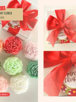 583245535_1514330523812655_7946163408475864679_n