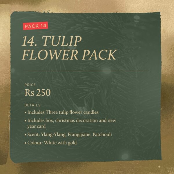 583702861_1514331990479175_6175292146687208917_n