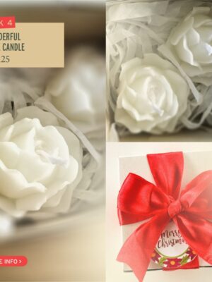 584116136_1514330857145955_5186009208983837862_n